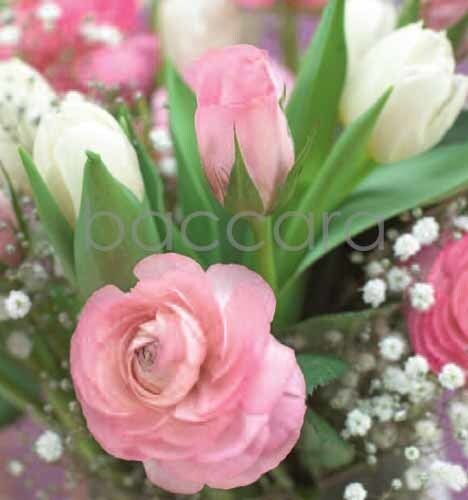 7176 mini kvadratisk 20-pakk