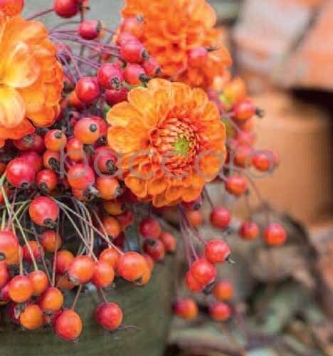 7174 mini kvadratisk 20-pakk