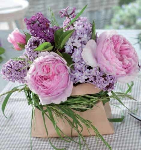 7172 mini kvadratisk 20-pakk