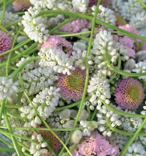 7189 mini kvadratisk 20-pakk