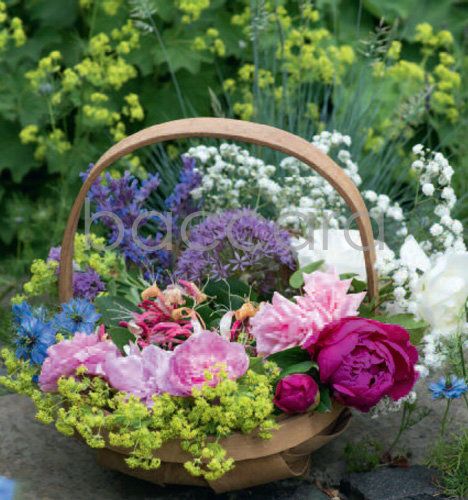 7198 mini kvadratisk 20-pakk