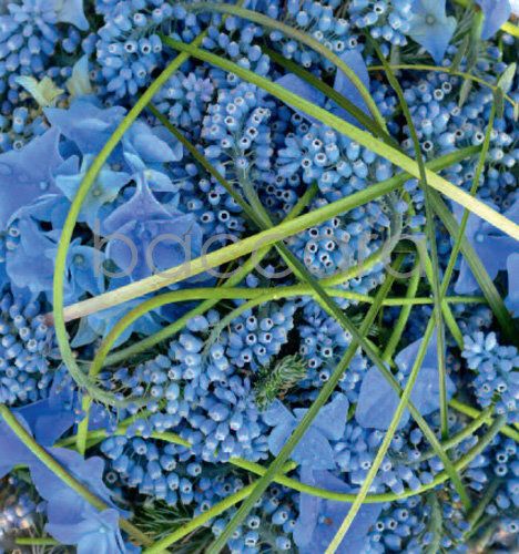 7201 mini kvadratisk 20-pakk