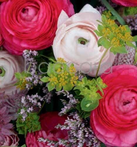 7153 mini kvadratisk 20-pakk