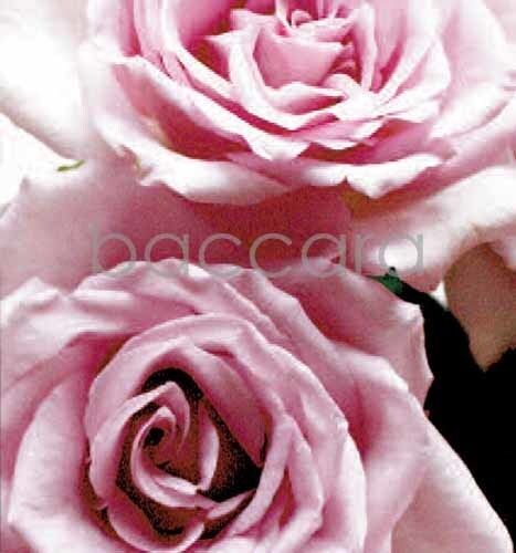 7148 mini kvadratisk 20-pakk