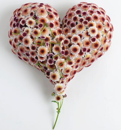 7059 mini kvadratisk 20-pakk