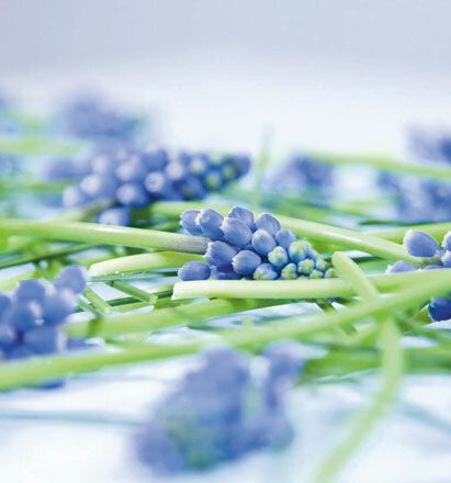 7020 mini kvadratisk 20-pakk