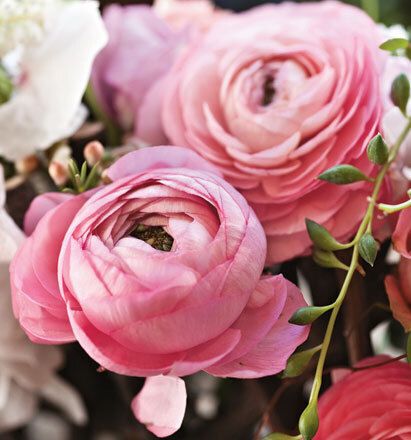 7026 mini kvadratisk 20-pakk