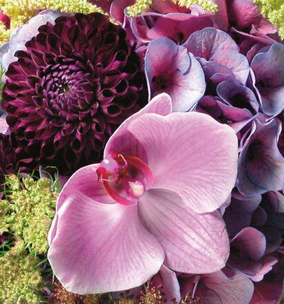 7014 mini kvadratisk 20-pakk