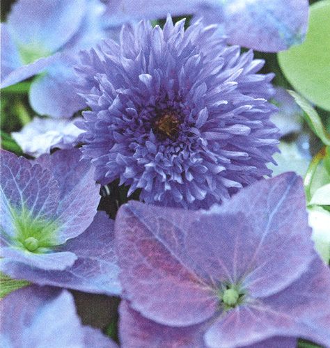 7034 mini kvadratisk 20-pakk