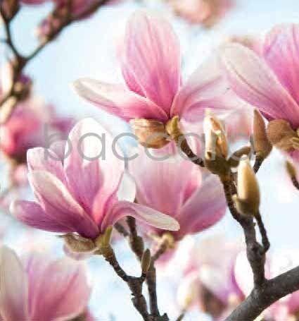 7127 mini kvadratisk 20-pakk