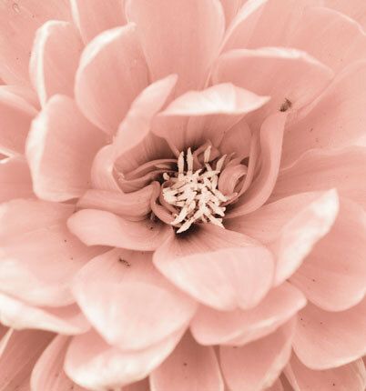 7003 mini kvadratisk 20-pakk