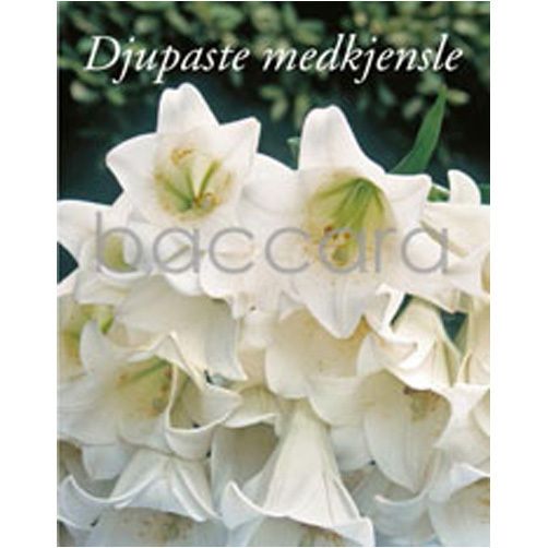 6066 mini nynorsk 20-pakk