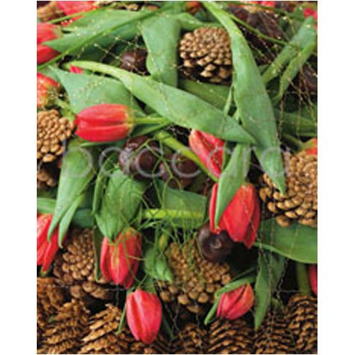 4043 mini Tobbe 20-pakk