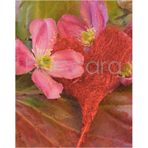 4027 mini Kristin Voreland 20-pakk