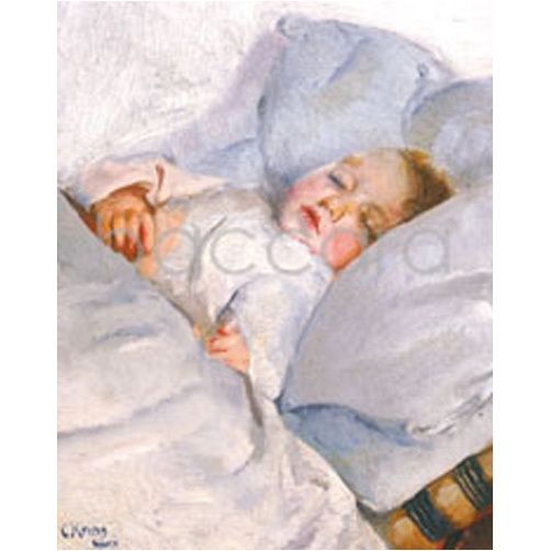 460 mini Chr. Krogh 20-pakk