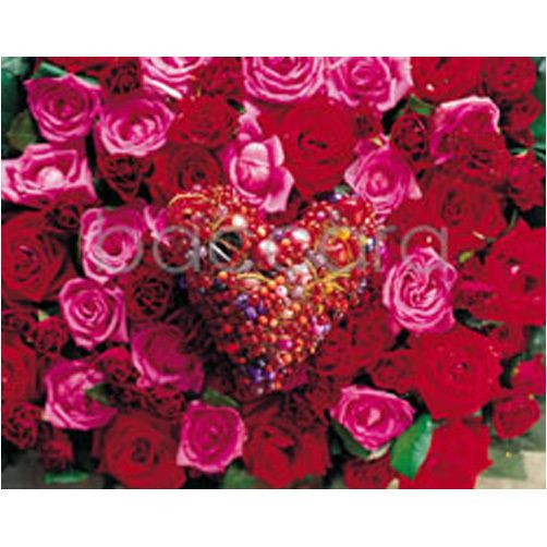 464 mini Erik Bering 20-pakk