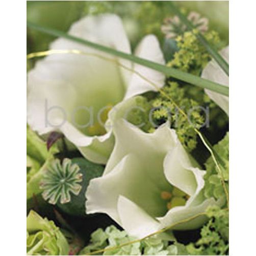 4042 mini Tobbe 20-pakk