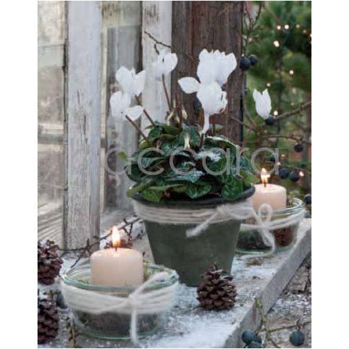 5010 mini 9.2 x 7.2 cm 20-pakk