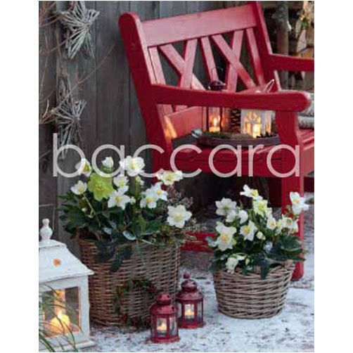 5002 mini 9.2 x 7.2 cm 20-pakk