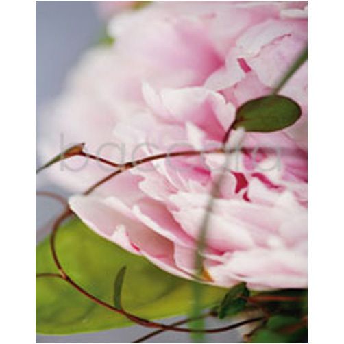 4057 mini Finn Schj�ll 20-pakk