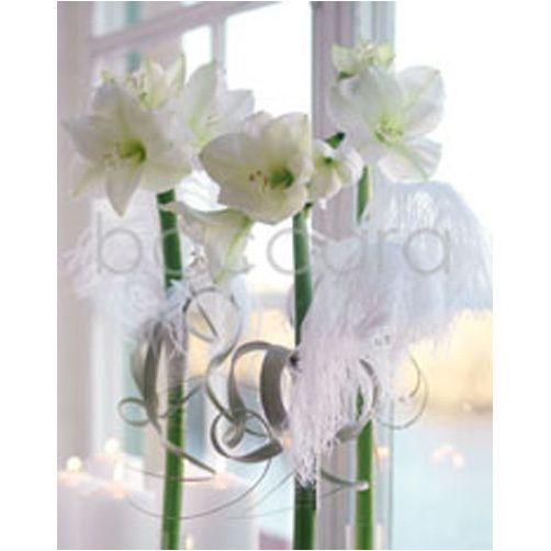 4078 mini Per Benjamin 20-pakk