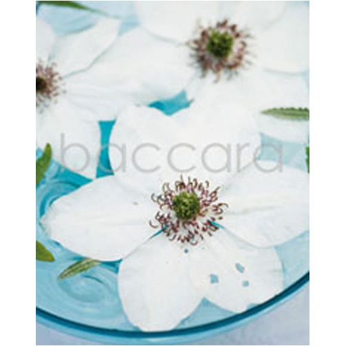 4056 mini Finn Schj�ll 20-pakk