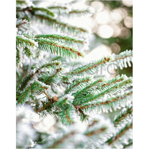 5013 mini 9.2 x 7.2 cm 20-pakk