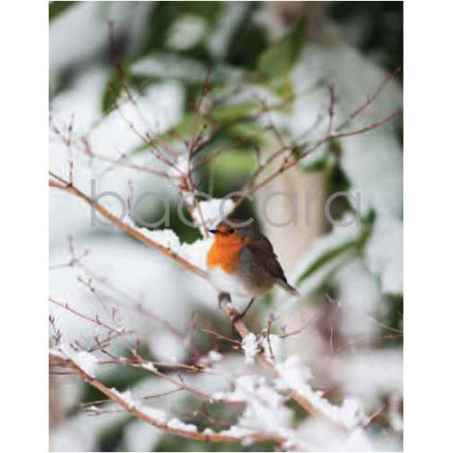 5012 mini 9.2 x 7.2 cm 20-pakk