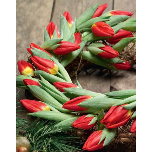 5019 mini 9.2 x 7.2 cm 20-pakk