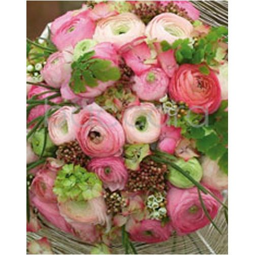 4081 mini Tomas De Bruyne 20-pakk