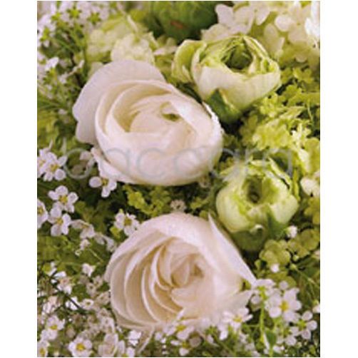 4048 mini Camillas blomsterdesign 20-pakk