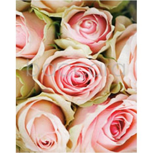 4058 mini Finn Schj�ll 20-pakk