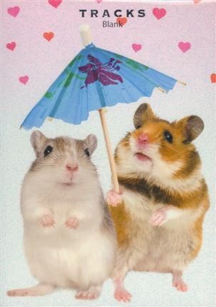 Tracks 12x17 Doble med konvolutt