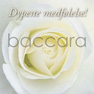 Flowers 4 you 12x12 cm