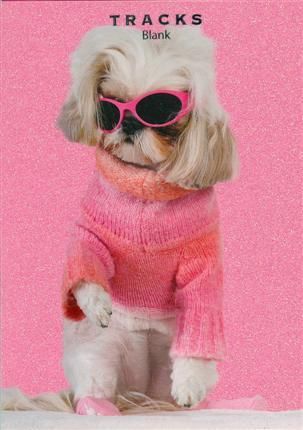 Tracks 12x17 Doble med konvolutt