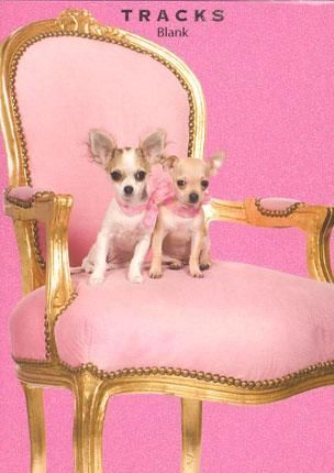 Tracks 12x17 Doble med konvolutt