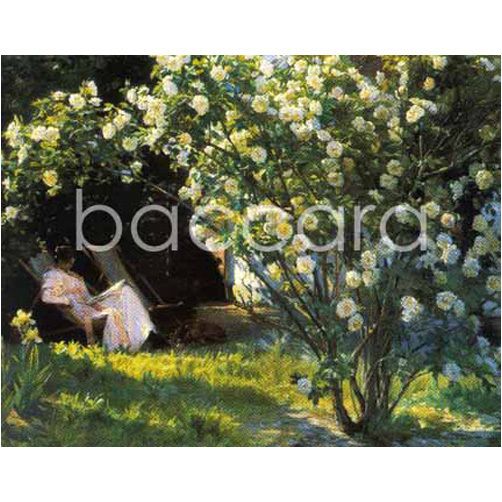 223 mini P. S. Kr�yer 20-pakk