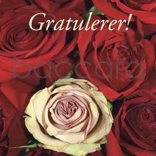 Flowers 4 you 12x12 cm