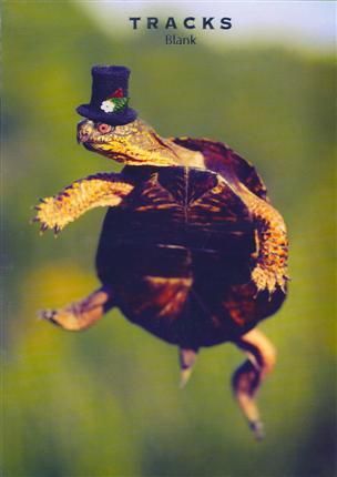 Tracks 12x17 Doble med konvolutt