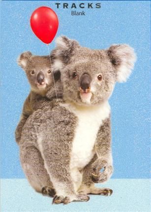 Tracks 12x17 Doble med konvolutt