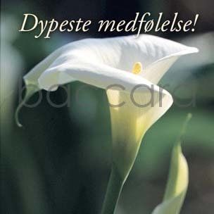 Flowers 4 you 12x12 cm