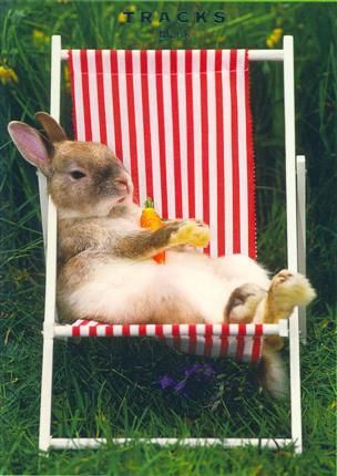 Tracks 12x17 Doble med konvolutt