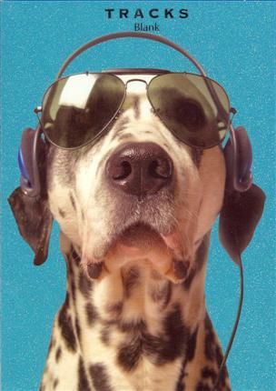 Tracks 12x17 Doble med konvolutt