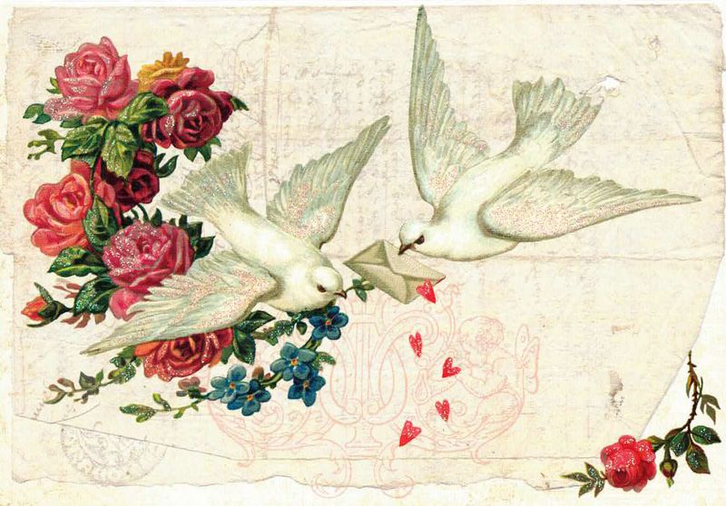 Edition Gollong Doble kort 12x17 6 pakk