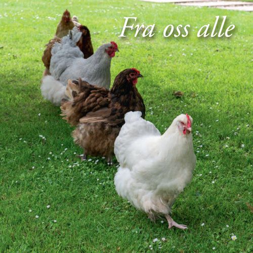 12x12 cm enkle kort 10-pakk