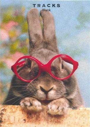 Tracks 12x17 Doble med konvolutt