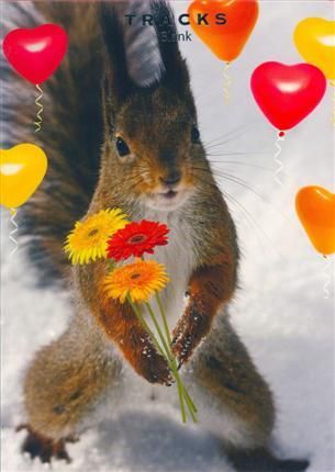 Tracks 12x17 Doble med konvolutt