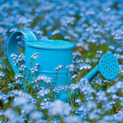 12x12 cm enkle kort 10-pakk