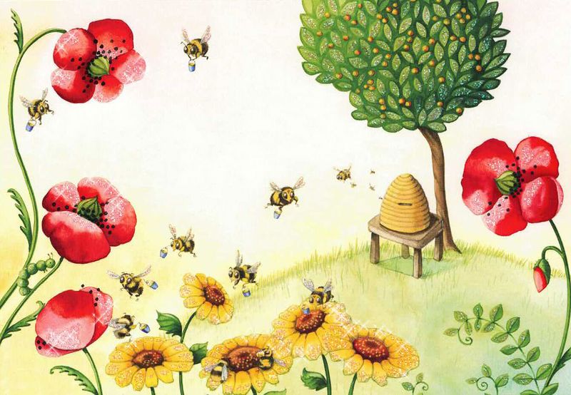 Edition Gollong Doble kort 12x17 6 pakk