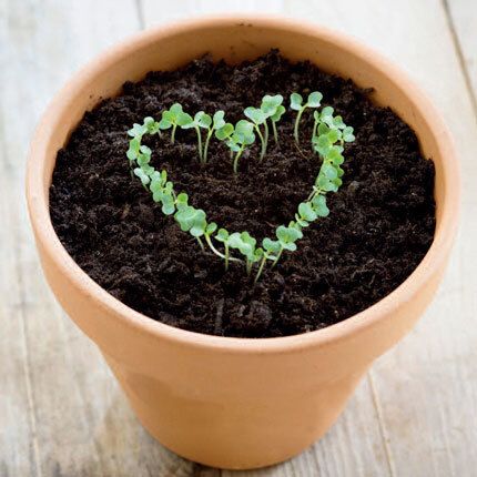 12x12 cm enkle kort 10-pakk